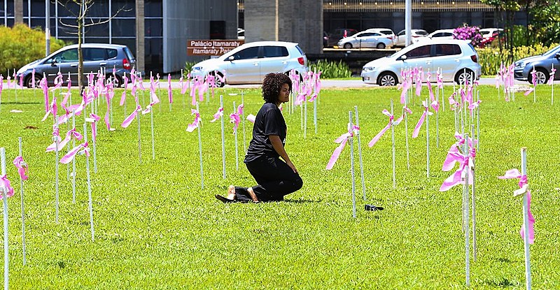 Cruzes em frente ao congresso pelo Dia Internacional de Combate à Violência Contra a Mulher