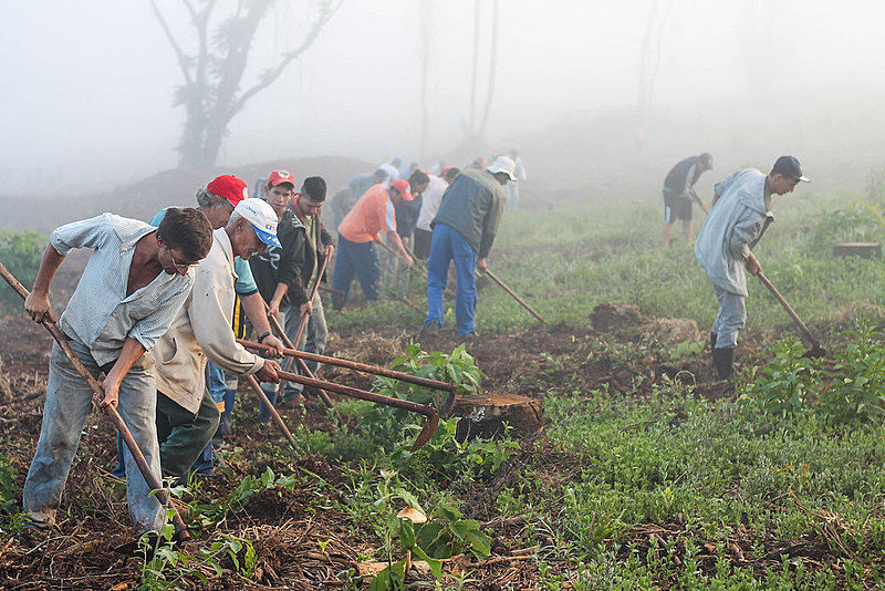 Trabalhadores rurais entregavam  produção para o Programa de Aquisição de Alimentos (PAA)