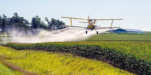 O mercado da comida gera doença desde a produção envenenada do agronegócio até a fabricação dos ultraprocessados