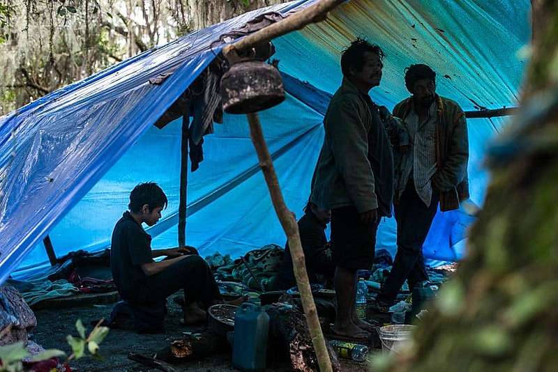 Comunidade Guarani Mbya sofre pressão de fazendeiros e de empreendimentos imobiliários