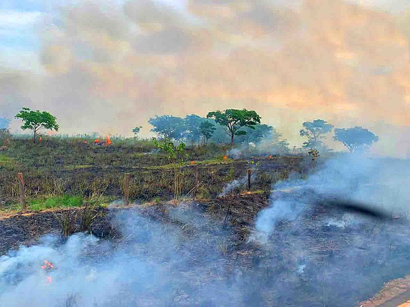 Queimada registrada em 26 de outubro na BR-155, em Eldorado do Carajás, no Pará; rodovia vai de Marabá a Redenção.