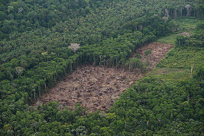 Inpe mostrou que a Amazônia perdeu 762,3 km² no mês de junho, o que representa um aumento de 60% sobre o mesmo período de 2018