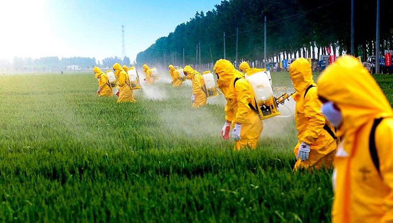 Movimento lança documento sobre impacto dos 20 anos da Lei de Biossegurança 