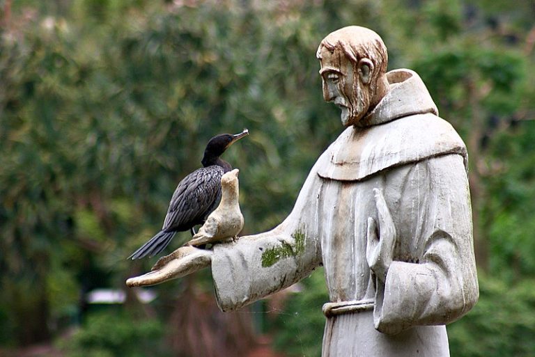 Francisco de Assis, cuidar da Casa Comum e esperançar