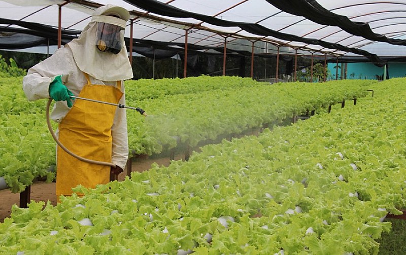 Número de amostras de alimentos contaminados com resíduos de agrotóxicos aumentou 17% em relação à pesquisa anterior