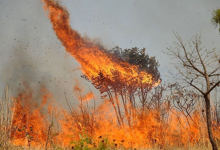 São mais de 2 mil focos de queimadas na Amazônia em setembro, segundo o Inpe