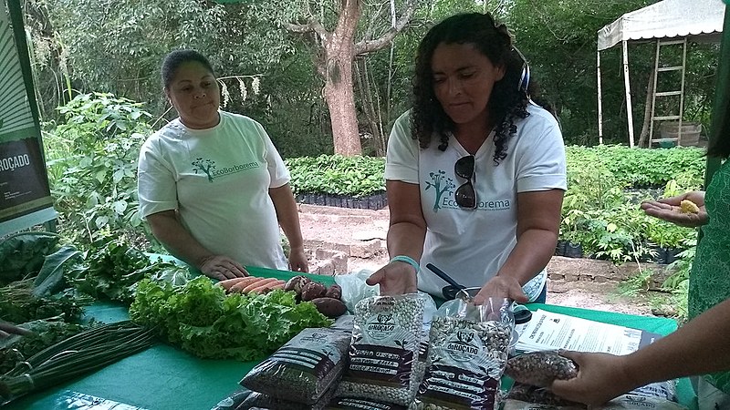 Além do PAA e PNAE, parte da produção é vendida em feiras agroecológicas