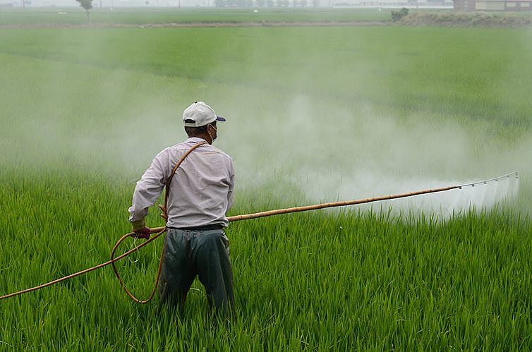 Brasil tem atualmente mais de 2 mil tipos de agrotóxicos em circulação no mercado