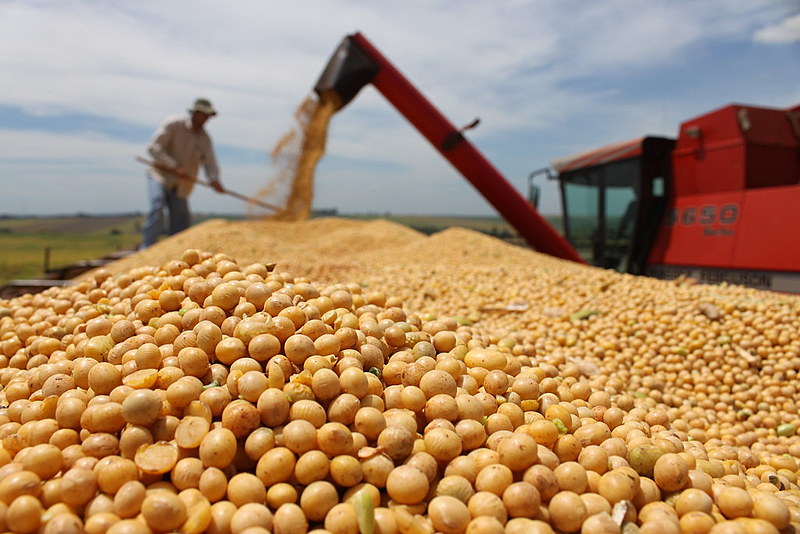 16 milhões de hectares são utilizados apenas para atender a demanda por commodities da China, aponta estudo