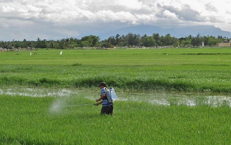 Utilização de agrotóxicos adoecem e matam trabalhadores, familiares e consumidores