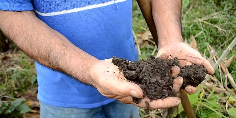 Com mais de 47 mil visualizações, "O que é agroecologia" lidera a etapa de votação popular do concurso