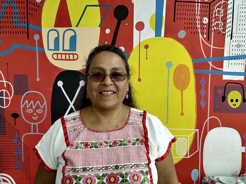 Sandra Morán é militante popular e em 2015 foi eleita deputada do Congresso da República da Guatemala representando o movimento feminista