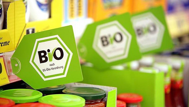 Documento analisa 381 referências sobre temas que envolvem alimentação, produção de plantas e de animais, impactos na saúde, entre outros