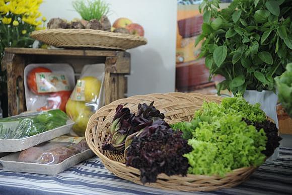 Os produtos orgânicos mais consumidos são verduras, legumes e frutas