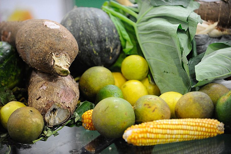 Interesse por produtos livres de ingredientes de origem animal tem crescido no Brasil