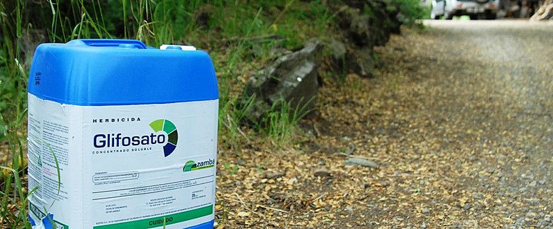 Glifosato é o agrotóxico mais utilizado no Brasil