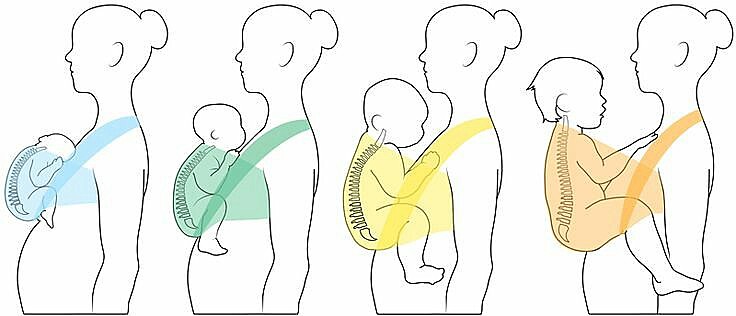Sling pode ser usado em diferentes fases da vida do bebê