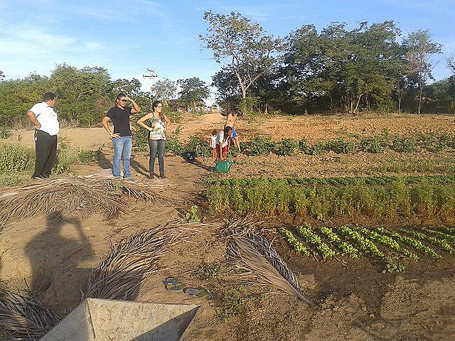 Para advogado, com marco temporal, quilombos podem virar mini-latifúndios.