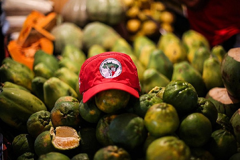 Feira Nacional da Reforma Agrária ocorre entre os dias 4 e 7 de maio, no Parque da Água Branca, em São Paulo