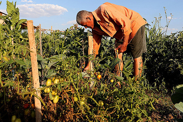 The activities take place on the International Day of Action for Peoples’ Food Sovereignty.