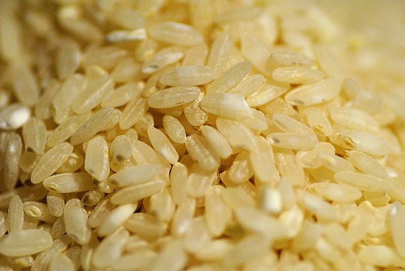 O MST celebra a 16ª Festa da Colheita do Arroz Agroeocológico