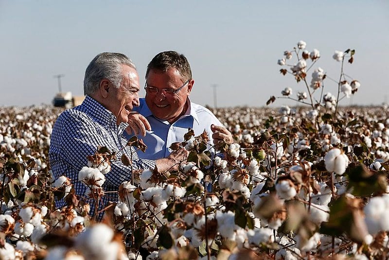 O presidente Michel Temer e o ministro da Agricultura, Blairo Maggi, em colheita estadual de algodão no Mato Grosso