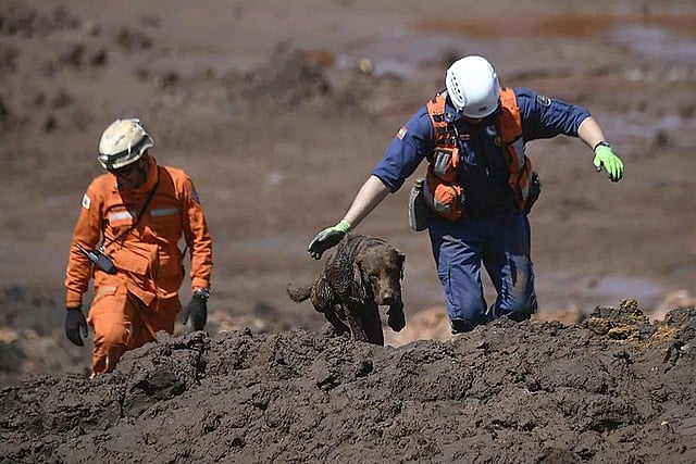 Bombeiros trabalham no resgate dos corpos em Brumadinho, em janeiro deste ano