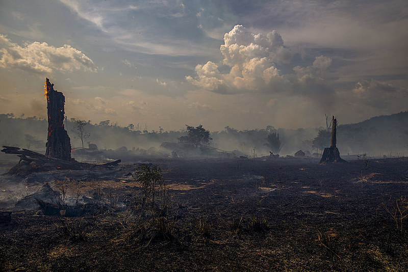 Vista de un área incendiada de la selva amazónica en Altamira, estado de Pará, Brasil, en la cuenca del Amazonas, el 27 de agosto de 2019