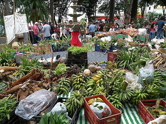 Alimentos producidos por habitantes del Quilombo Campo Grande, en Minas Gerais