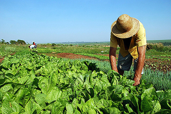 The institute in charge of land reform will now report to cabinet headed by a former leader of Brazil's influential rural caucus