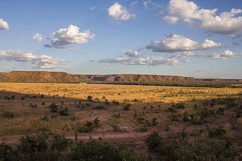 Matopiba é marcada pelo agronegócio e pela produção de monocultura com forte presença de agrotóxicos