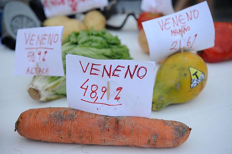 No Rio de Janeiro, Dia Internacional de Luta contra os Agrotóxicos tem ato em frente a Câmara dos Vereadores