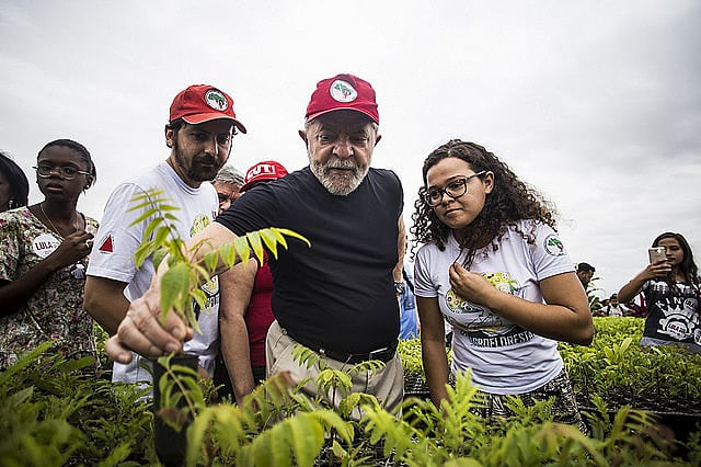 Lula repudió los incentivos públicos a la producción de eucalipto para reforestación