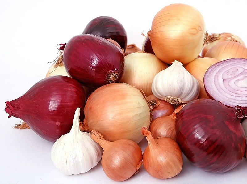 A cebola tem propriedades antioxidantes, alto poder curativo, além de ajudar a circulação sanguínea