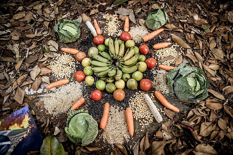 Abertura da 18ª Jornada de Agroecologia aconteceu nesta quinta-feira (29)