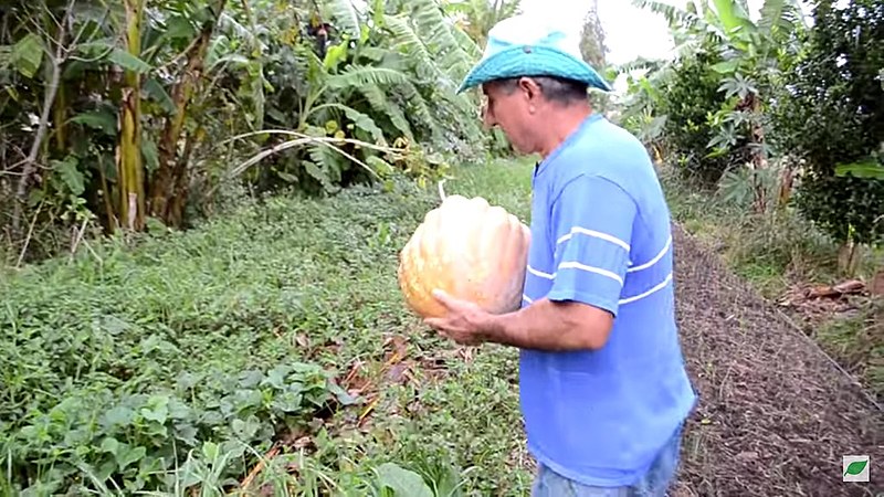 "Agora vamos levar a agroecologia e o Movimento dos Trabalhadores Sem Terra ao palco mundial", celebram os diretores