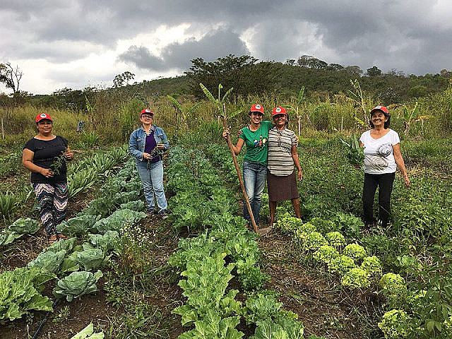 Famílias produzem comida sem o uso de agrotóxicos, de forma agroecológica ou em transição, como orienta o MST