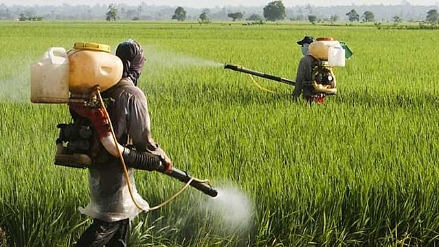 Brazil’s farm lobby is feeling so comfortable with the far-right government that it stopped pushing legislation to relax pesticide rules