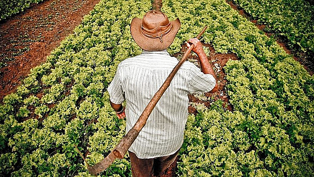 Agricultor