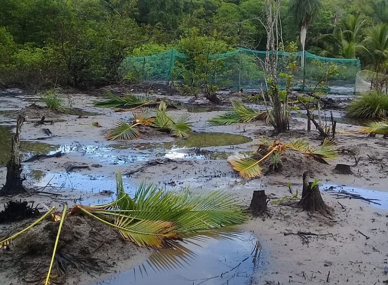 No Cabo, posseiros sofrem ameaças e tem produção destruída por Suape