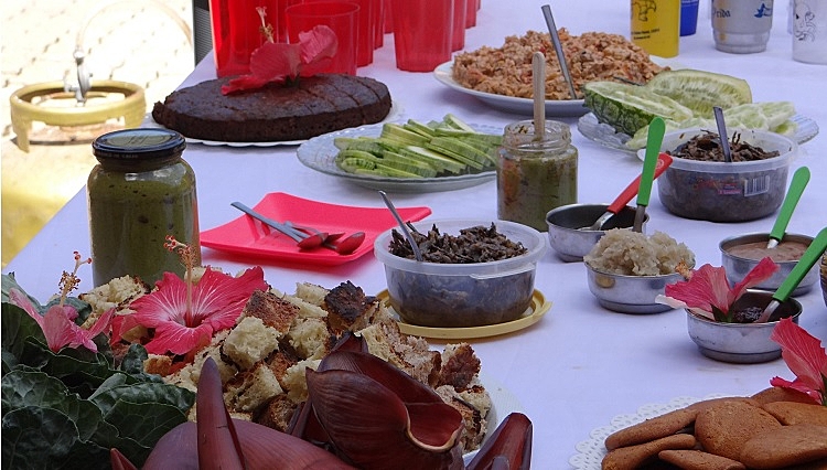 Pesquisadores narram em vídeo potenciais das Plantas Alimentícias Não Convencionais