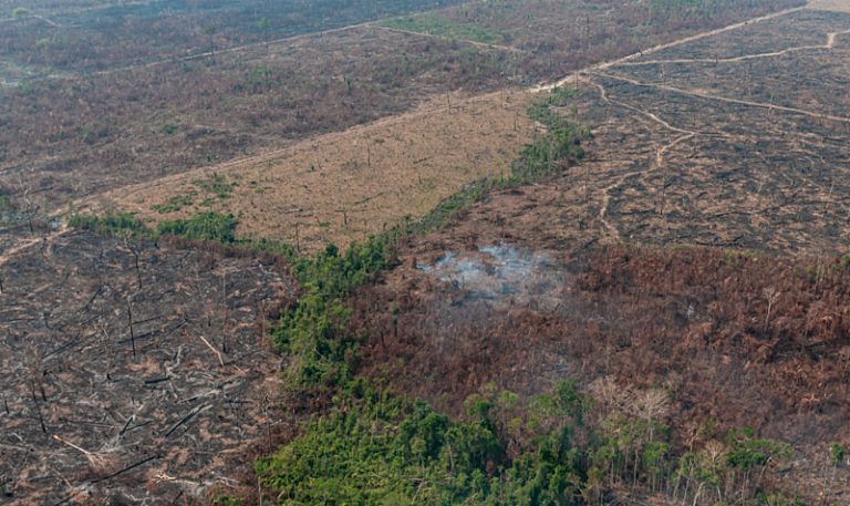 Eduardo Leite cortou ou alterou quase 500 pontos do Código Ambiental do RS em 2019