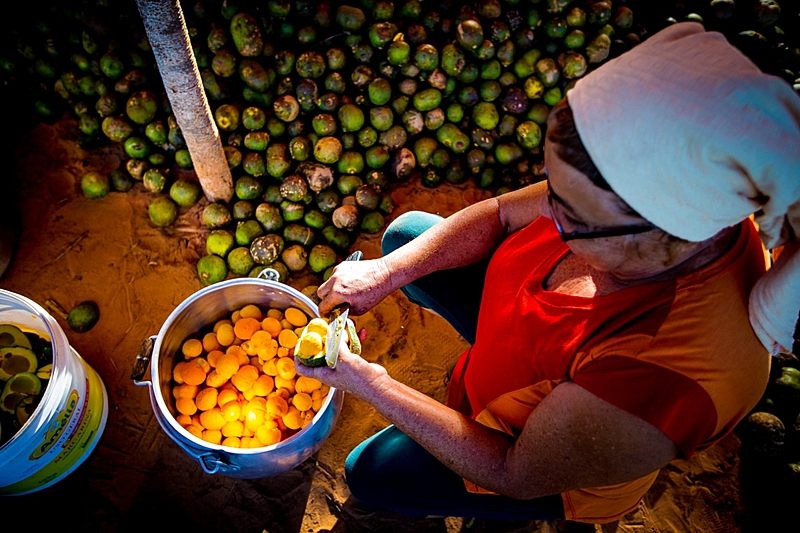 Manipulação e tratamento de produtos de agricultores faz parte do beneficiamento que origina o comércio de diversos itens de consumo