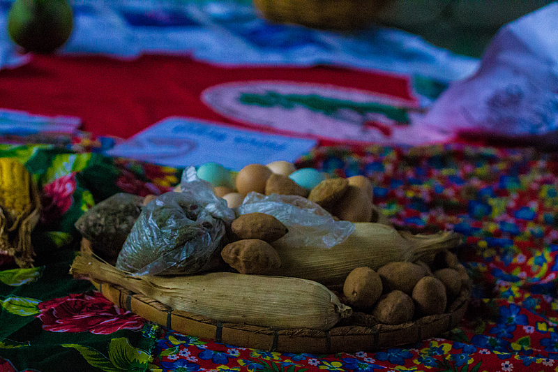 mst, alimentos, bandeira