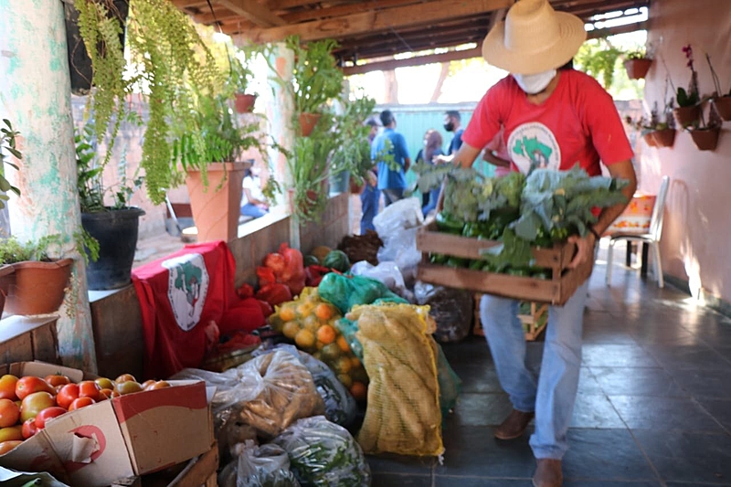 mst alimentos