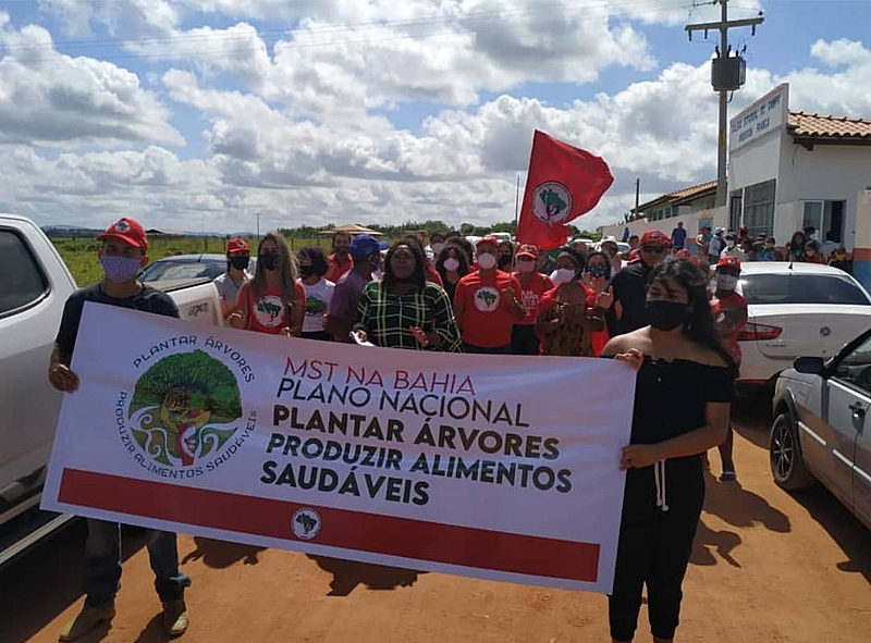Assentados saem em caminhada pelo Jacy Rocha para celebrar a permanência na área e saída da Força Nacional do sul da Bahia