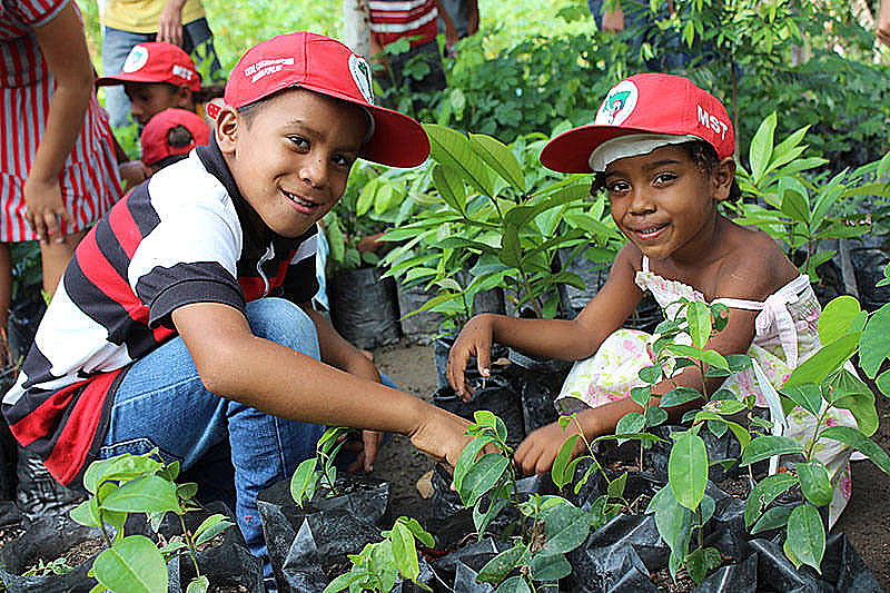 sem-terrinhas, terra, plantação