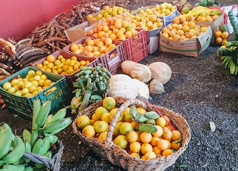 DF pode ser capital da alimentação agroecológica, mas faltam ações, diz conselheiro do Consea