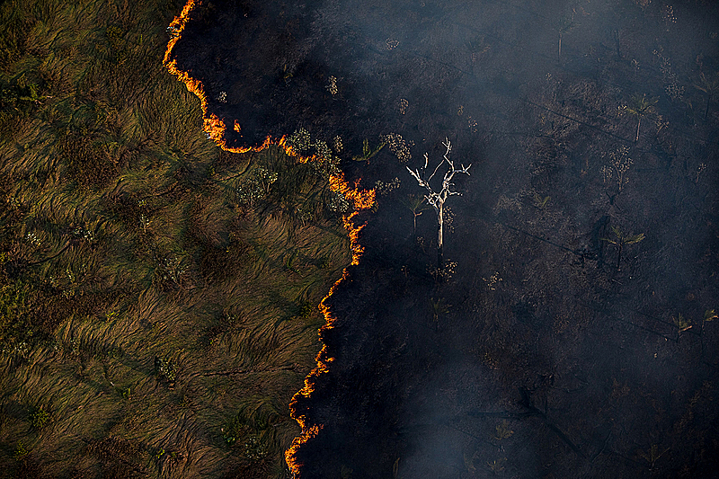 OUTUBRO | Brasil em chamas: Pantanal e Amazônia registram recorde de queimadas