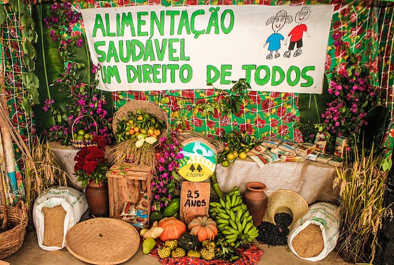 Agroecologia e economia solidária: aprendizados para garantir a segurança alimentar
